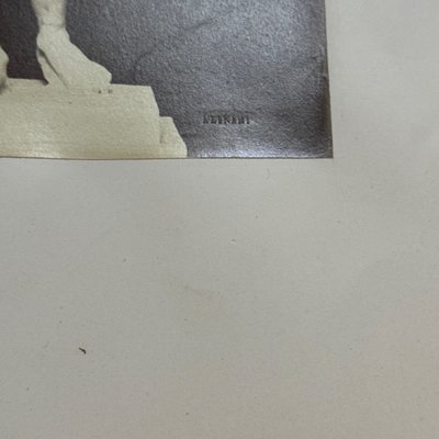 Immagine all'albumina di Antinoo - Musei Vaticani