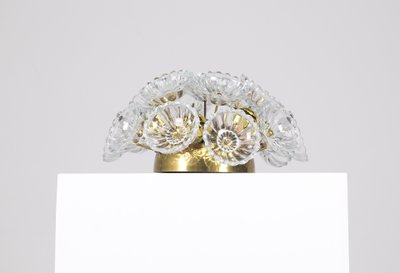 Sputnik "Dandelion" ceiling light - glass and brass