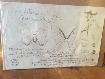 Drawing by René Hérisson