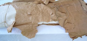 Large Métis Canvas Coupon