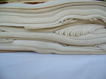 Large Métis Canvas Coupon