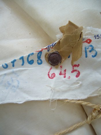 Large Métis Canvas Coupon