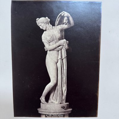 Foto all'albumina su cartone di Venere Callipigia XIX secolo