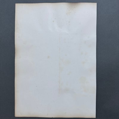 Foto all'albumina su cartone di Venere Callipigia XIX secolo