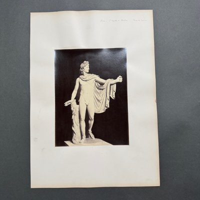 Albumen print of the Apollo Belvedere, Rome, Vatican Museums