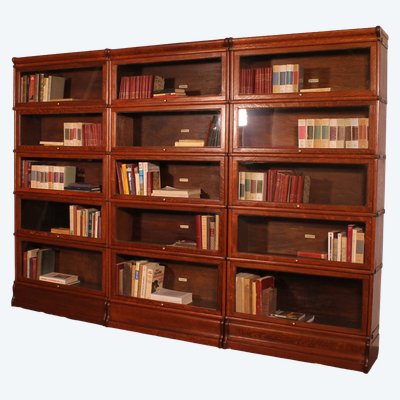 Mur De Bibliothèque de 3 modules Globe Wernicke En Chêne -19° Siècle