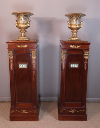 Paire de grandes sellettes à portes en acajou XIXème siècle