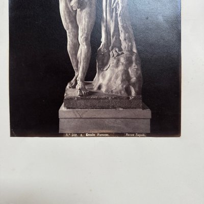 Albumen print mounted on cardboard depicting the Farnese Hercules, 19th century