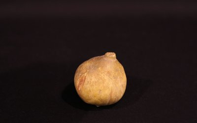 Faux fruits XVIIIeme siècle  Marbre 