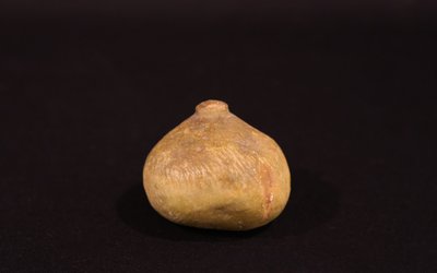 Faux fruits XVIIIeme siècle  Marbre 