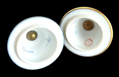 Großes Paar Vasen Aus Sèvres-Porzellan "Stempel Château Des Tuilerie "xixe