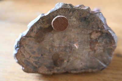 Incantevole terracotta di François Boucher, la lezione di musica