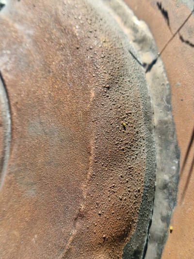 Copper repoussé collection plate, also known as a "quête" plate