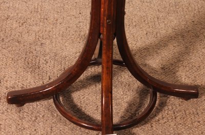 Porte Manteau perroquet, Art Nouveau, dit Thonet