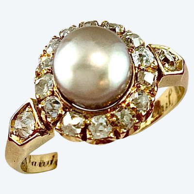 Gänseblümchenring aus dem 19. Jahrhundert, zertifizierte feine Perle, Diamantfassung auf Gelbgold, datiert 1882