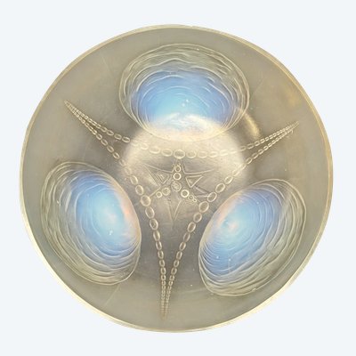Sabino - Coupe  "COQUILLES ET PERLES"