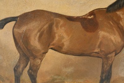 Cheval à l écurie , école du XIX