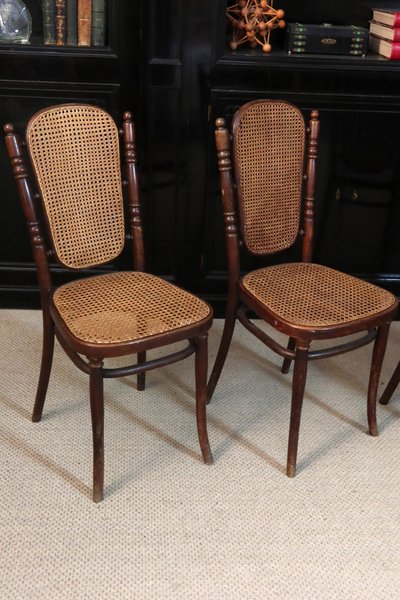 Chairs from Maison Thonet