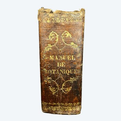 Antique book "Complete Manual of Botany – French Flora" – 1828