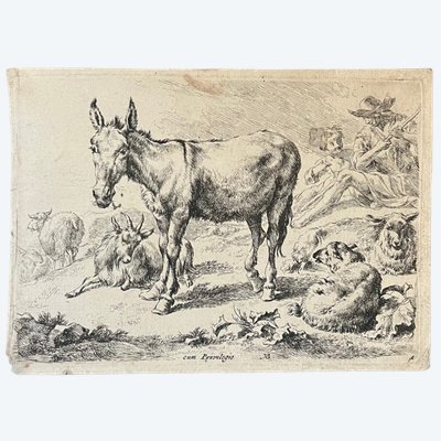 L'incisione di Nicolaes Pietersz Berchem (1620-1683) raffigura un asino del XVII secolo