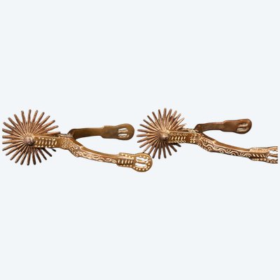Paire d'éperons XIXᵉ siècle  Bronze 