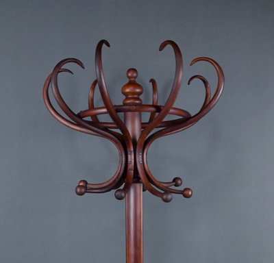 Grande appendiabiti a forma di pappagallo in legno di faggio curvato, stile Thonet - Inizi del XX secolo
