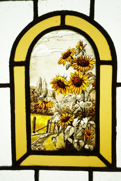 Vetrate - finestre di vetro colorato - agrifogli e girasoli