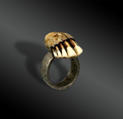 RING - France - Bone, alloy, brass