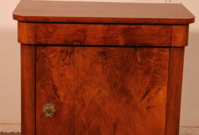 Mahogany Cupboard-19th Century