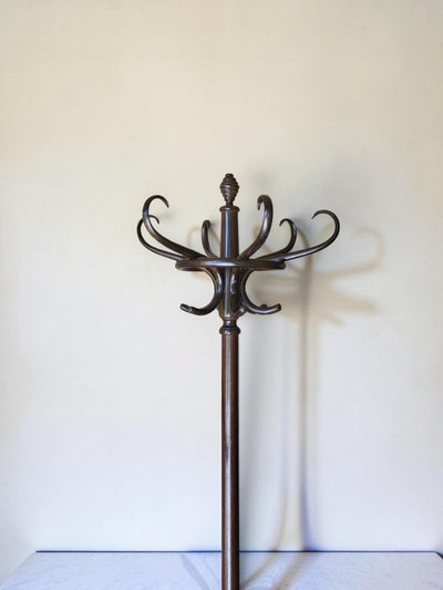 Kleiderständer Papagei aus gebogenem Holz von Mickael Thonet