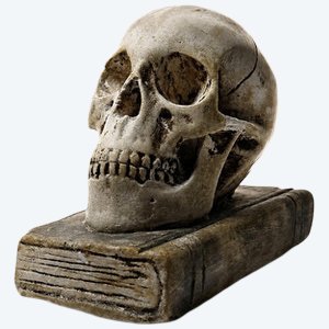 Ancien Memento Mori en plâtre, crâne sur livre, curiosité fin XIXe début XXe
