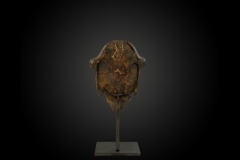 FACE MASK called RELIQUARY SKULL Sawos Culture, Sepik River, Papua New Guinea