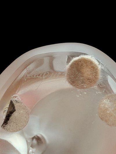 Lalique - Panda assis - Cristal satiné