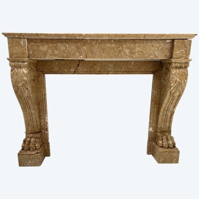 Napoleon III mantel with claw feet in speckled marble XIX century
