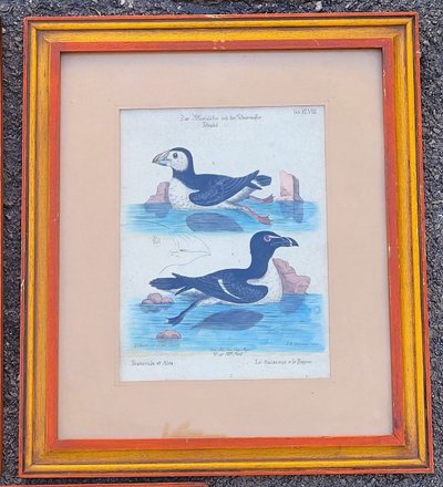 Suite of 6 framed animal engravings, 19th century