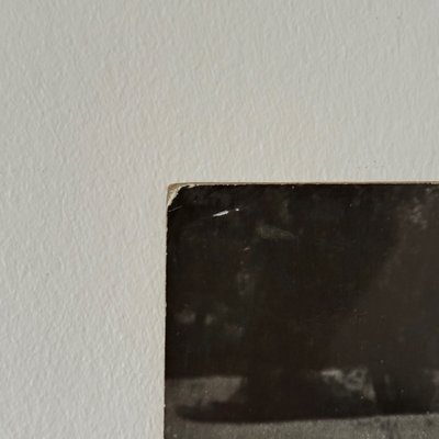 Photo argentique Bernard Darot XXe Photo Club Nantais Le Ballet des oies