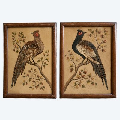 Ein Paar naturalistische Bilder aus echten Federn, die Fasanen aus der Zeit Napoleons III. darstellen
