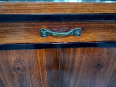 Vitrine / Sideboard im Art-Déco-Stil aus Palisanderholz und geschwärztem Holz
