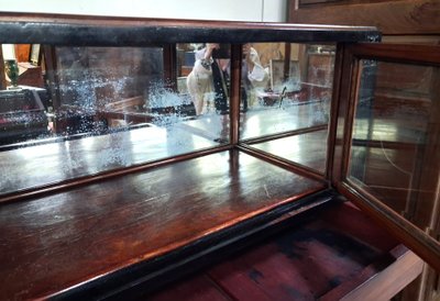 Vitrine / Sideboard im Art-Déco-Stil aus Palisanderholz und geschwärztem Holz
