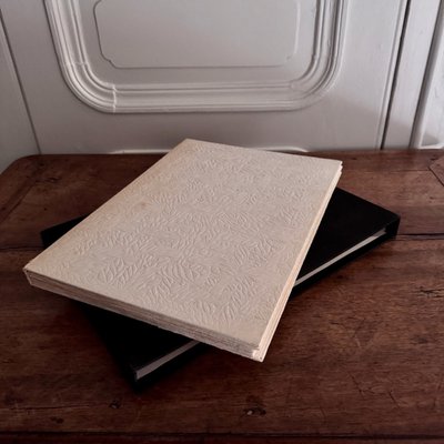 Libro dal cinque al sei di Fiorini, Boni, Piza, Louttre, Dormy n. 15