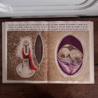 Libro dal cinque al sei di Fiorini, Boni, Piza, Louttre, Dormy n. 15