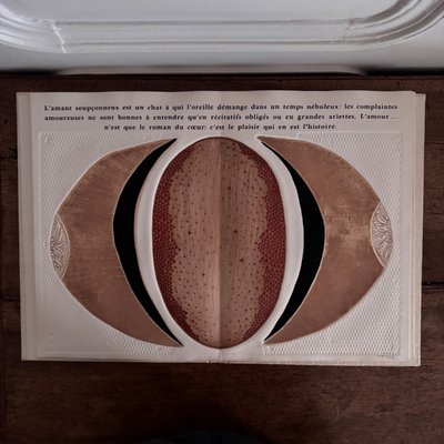 Libro dal cinque al sei di Fiorini, Boni, Piza, Louttre, Dormy n. 15