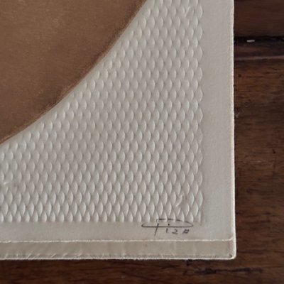 Libro dal cinque al sei di Fiorini, Boni, Piza, Louttre, Dormy n. 15