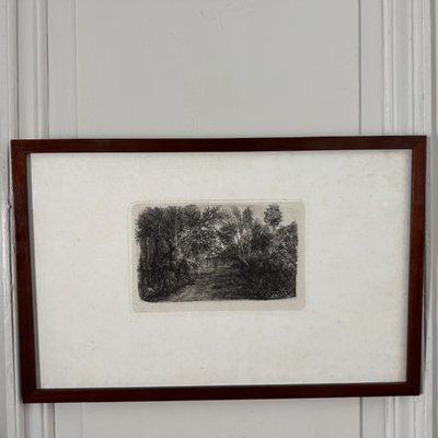 Antike Radierung von Rodolphe Bresdin, Wasserlauf, 19. Jahrhundert