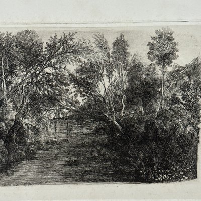 Antike Radierung von Rodolphe Bresdin, Wasserlauf, 19. Jahrhundert