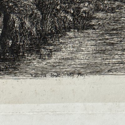 Antike Radierung von Rodolphe Bresdin, Wasserlauf, 19. Jahrhundert