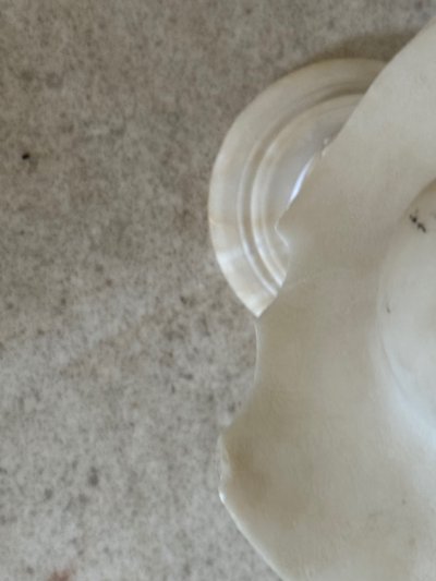 Damaged marble bust