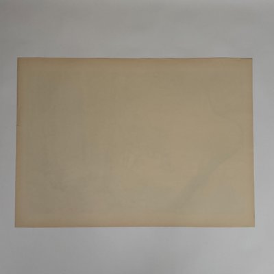 Lithographie par Henri Rivière Les Aspects de la Nature - Soir d'été