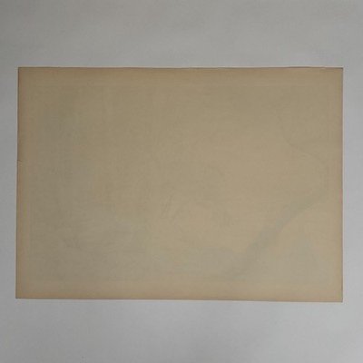 Lithographie par Henri Rivière Les Aspects de la Nature - Soir d'été