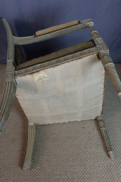 Paire de fauteuils directoire XIX 